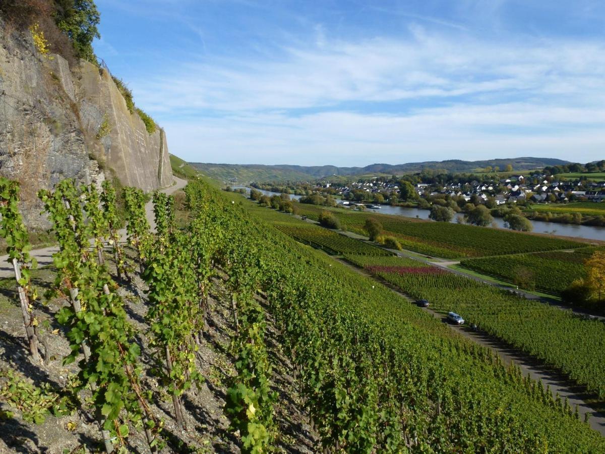 Апартаменти Weingut Harald Ludwig Osann-Monzel Екстер'єр фото