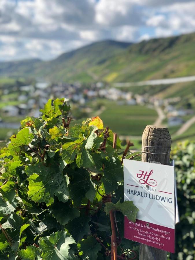 Апартаменти Weingut Harald Ludwig Osann-Monzel Екстер'єр фото